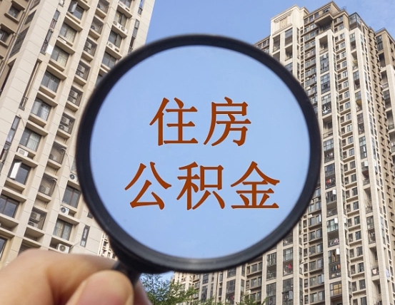 白城退休后查不到公积金明细了吗（退休后公积金查询不到原因）